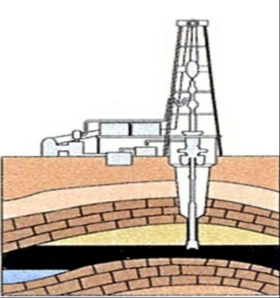 Our Professional Team